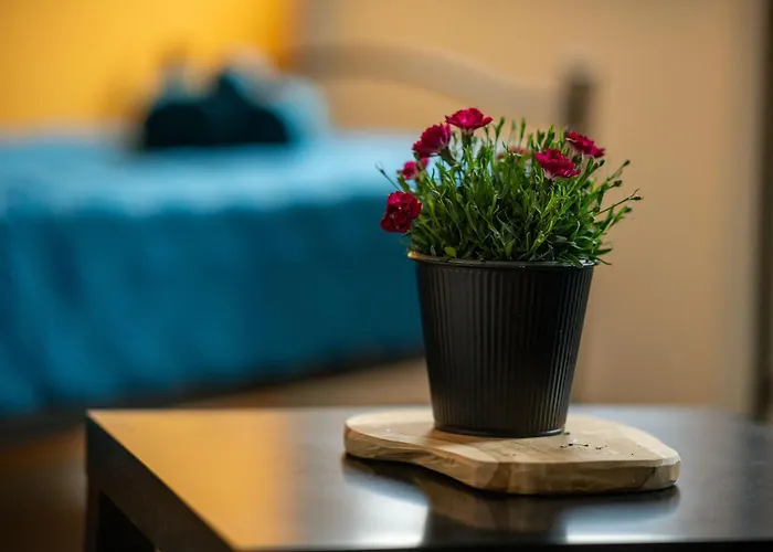 Stella Del Mare Auberge de jeunesse