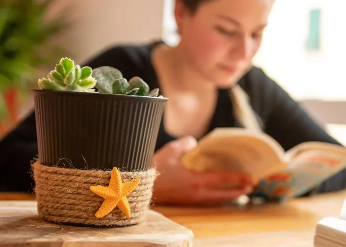 Stella Del Mare Auberge de jeunesse Varazze